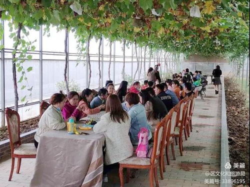 渭南文化旅游資訊微報（10月15日）